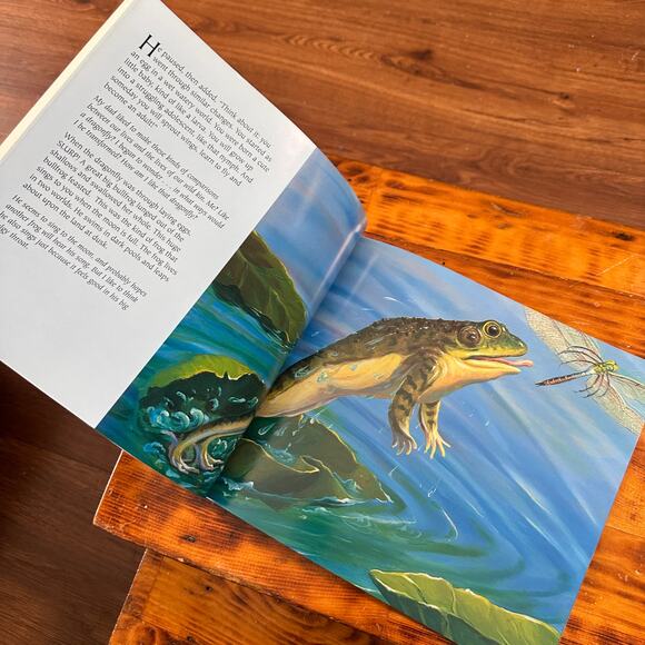 The Web At Dragonfly Pond Paperback Book - Picture 4 of 7